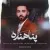 امیر رادمهر - پناهنده