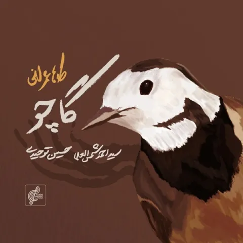 دانلود آهنگ طاها عمرانی به نام گاچو + متن آهنگ