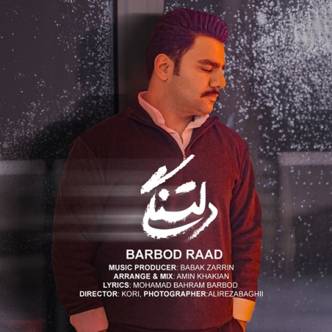 باربد راد دلتنگی