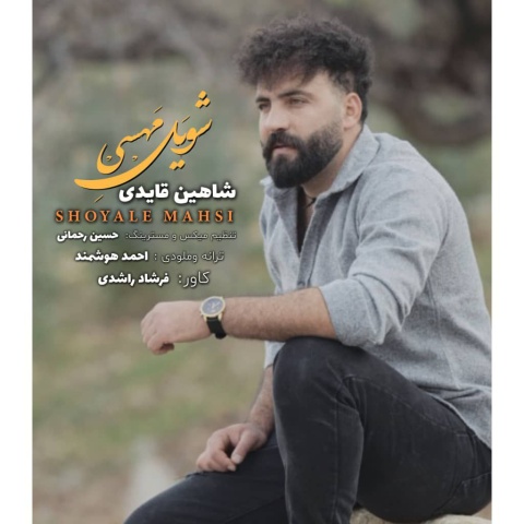 شاهین قائدی شویل مهسی