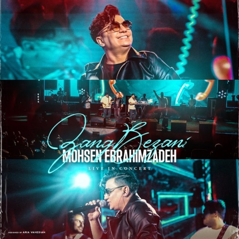 محسن ابراهیم زاده