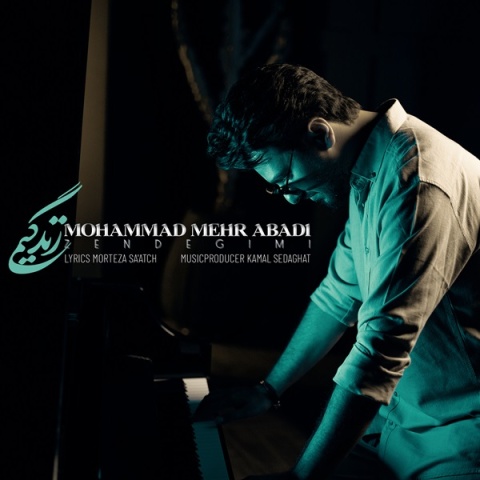 محمد مهرآبادی زندگیمی