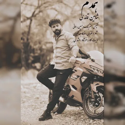 دانلود آهنگ شاهین قائدی به نام همدم