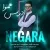 ادریس همنوا - نگارا
