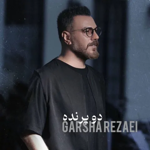 دانلود آهنگ گرشا رضایی به نام دو پرنده + متن آهنگ