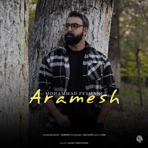 دانلود آهنگ محمد پیمانی به نام آرامش + متن آهنگ