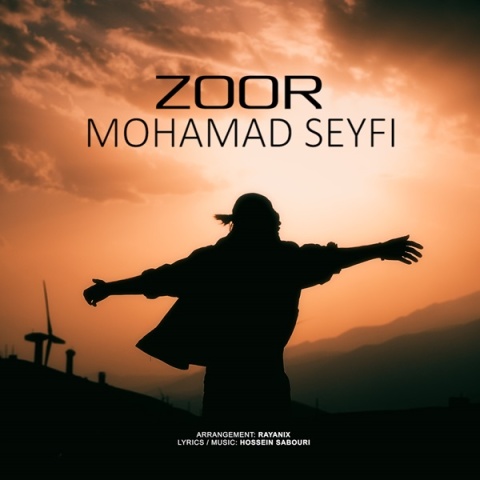 محمد سیفی زور