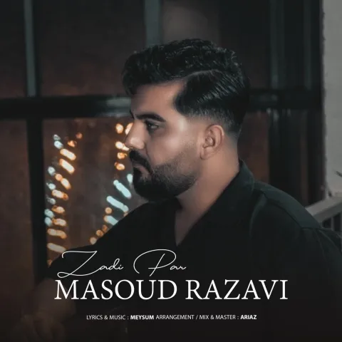 دانلود آهنگ مسعود رضوی به نام زدی پر + متن آهنگ