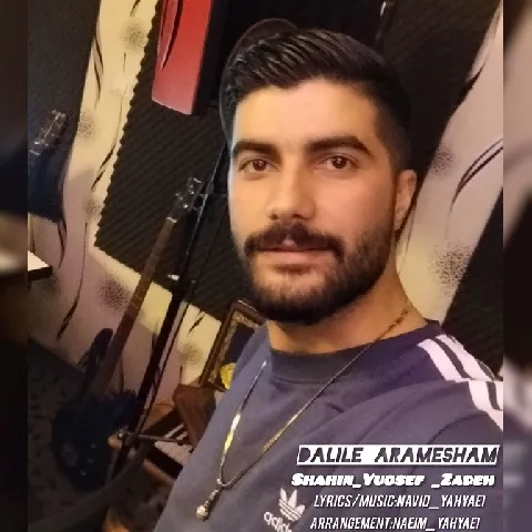 دانلود آهنگ شاهین یوسف زاده به نام دلیل آرامشم + متن آهنگ