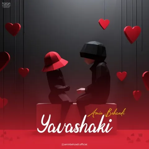 دانلود آهنگ امین بهزادی به نام یواشکی