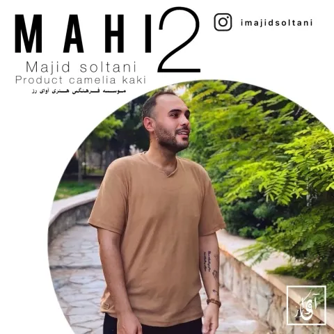 دانلود آهنگ مجید سلطانی به نام ماهی۲