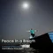 دانلود آهنگ حمیدرضا نصرالهی به نام Peace in a Breath