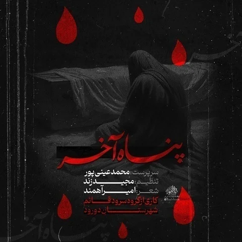 دانلود آهنگ محمد عینی پور به نام پناه آخر + متن آهنگ