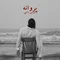 دانلود آهنگ فردین ناجی به نام پروانه + متن آهنگ