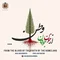 دانلود آهنگ میلاد درویش به نام از خون جوانان وطن + متن آهنگ