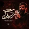 دانلود مداحی حسین ستوده به نام زندگی