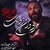 محمد حسین حدادیان - مرد و زن زدنت