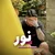 ساسان - نور
