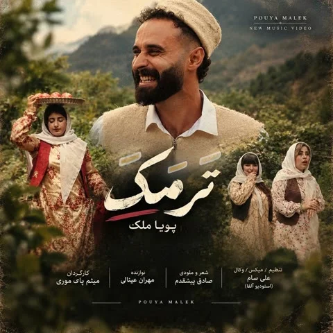 دانلود آهنگ پویا ملک به نام ترمک