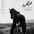 محمد شجاعی - شبگرد