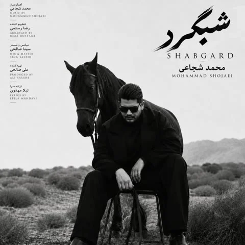 دانلود آهنگ محمد شجاعی به نام شبگرد + متن آهنگ