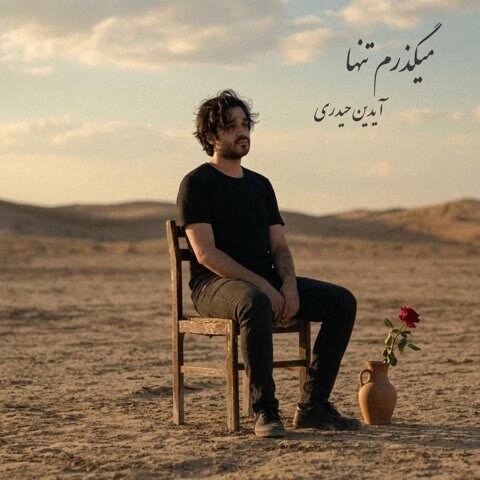 آیدین حیدری میگذرم تنها