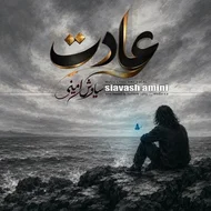 سیاوش امینی - عادت