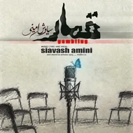 سیاوش امینی - قمار
